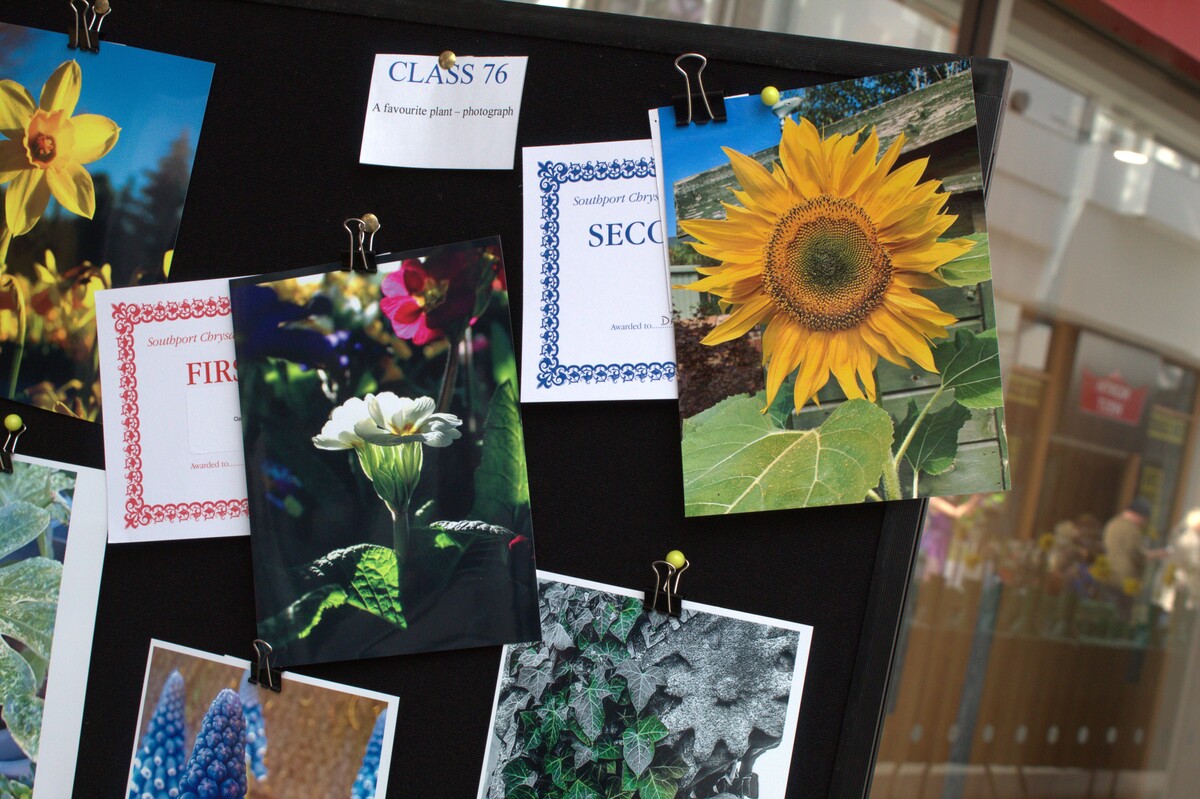 Spring Show 2026 A favourite plant Photography Class